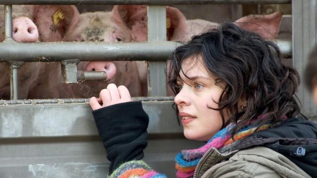 Schweineleben