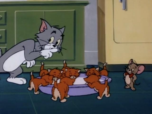 The Kitten Sitters