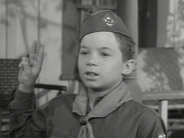 The Boy Scout Story