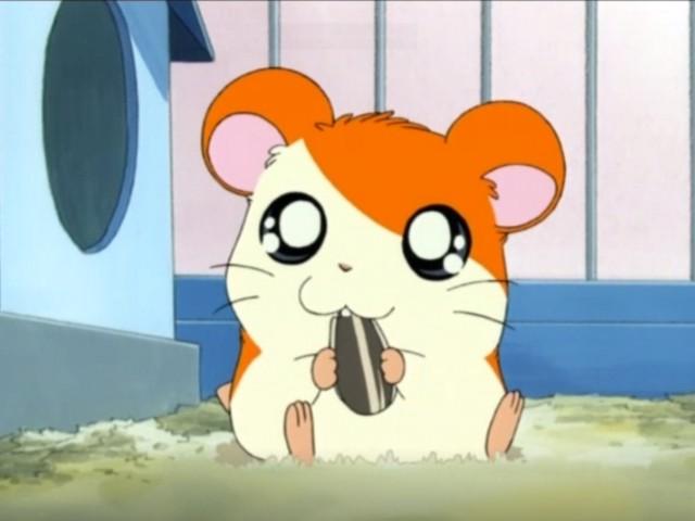 Hamtaro