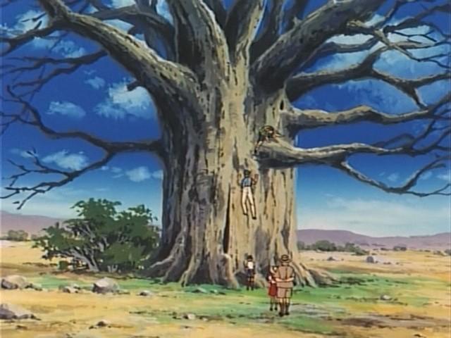 The Mysterious Baobab Tree