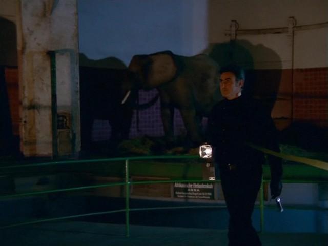 Die Nacht im Zoo