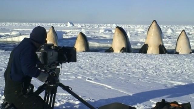 Frozen Planet: Making of