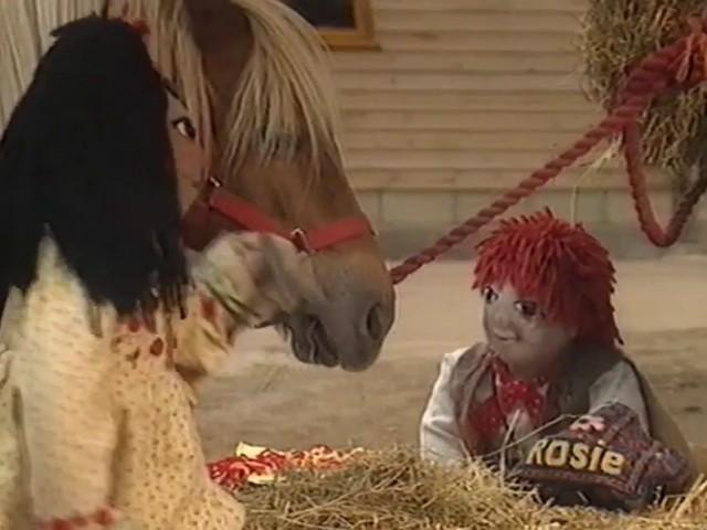 Shire Horses