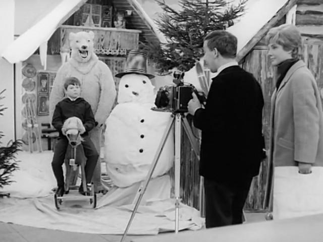 Der Eisbär