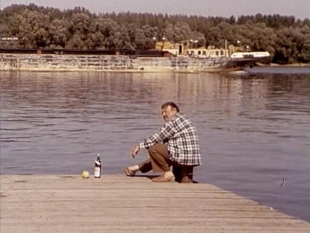 Pogon na bukvu