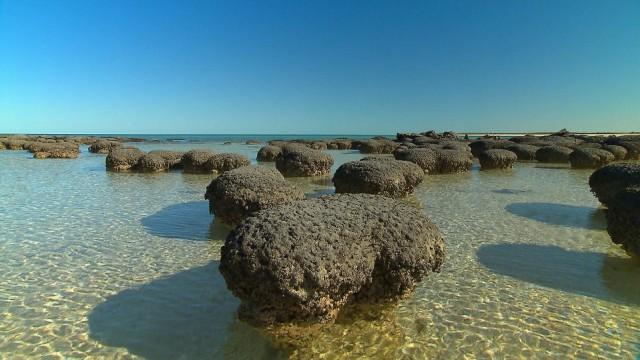 Australia's First 4 Billion Years - Awakening