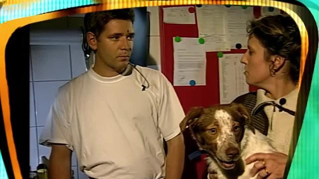 TV total Sendung vom 24.01.2000
