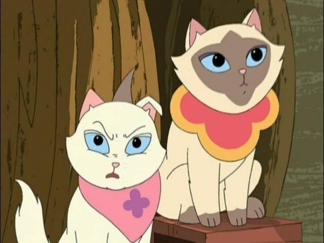 Cat and Mouse / Stinky Tofu