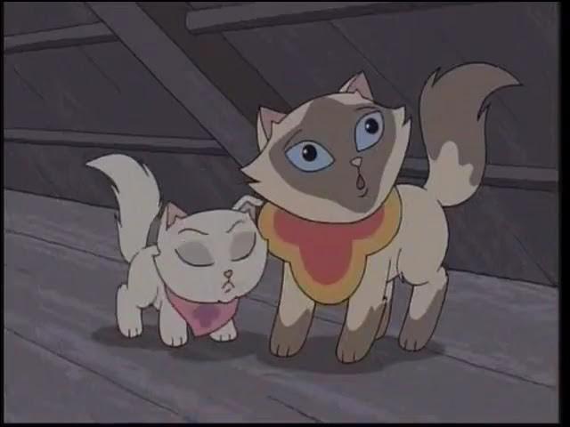 Fraidy Cats / The Tortoise and the Cat