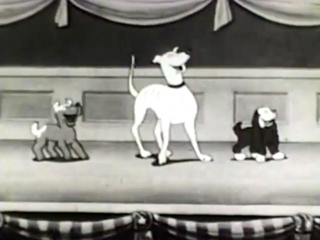 Scrappy's Dog Show