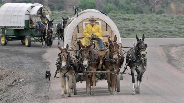 Horse Packers & Wagon Masters