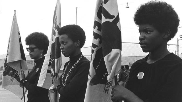 The Black Panthers: Vanguard of the Revolution