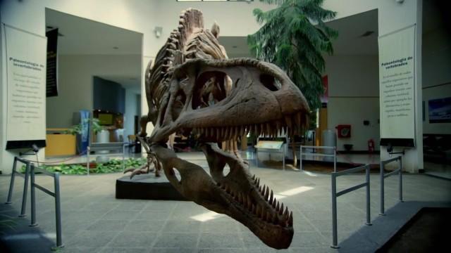 Attenborough and the Giant Dinosaur