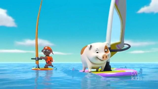 Pups Save a Windsurfing Pig