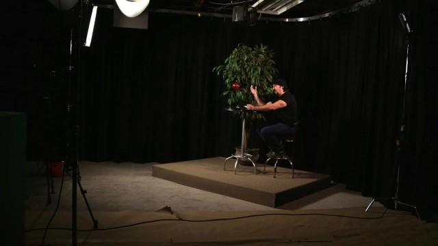 Fuck It, It's Christmas