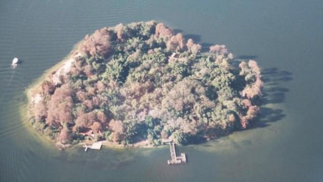 Disney's Discovery Island (Update)