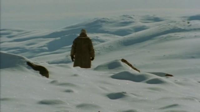 Arctic Passage: Ice Survivor