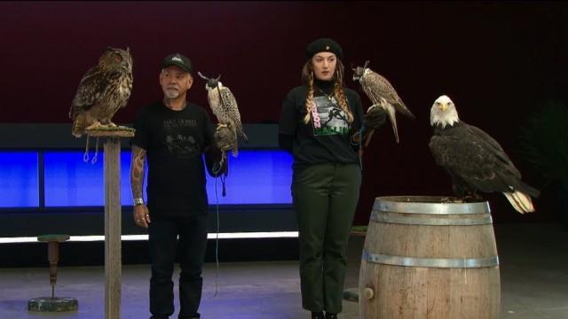 Ink Master: Meesters van de Lage Landen 2 - Aflevering 3