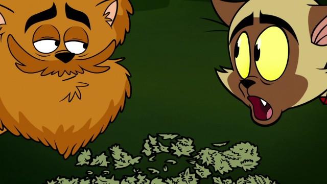 Cat-aclysm