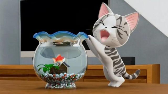 Chi and the Goldfish