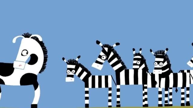 Zebra