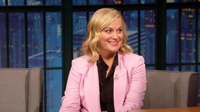 Amy Poehler, Fall Out Boy