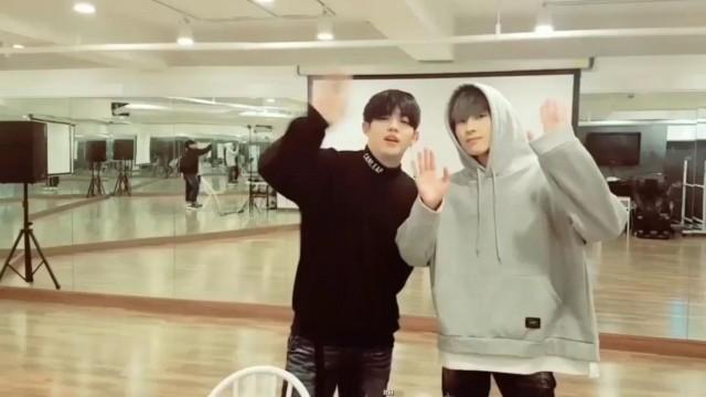 [SEVENTEEN] '99 kinds of games' by S.Coups &Wonwoo of SEVENTEEN