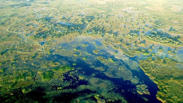 Okavango River