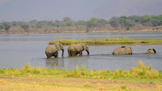 Zambesi River