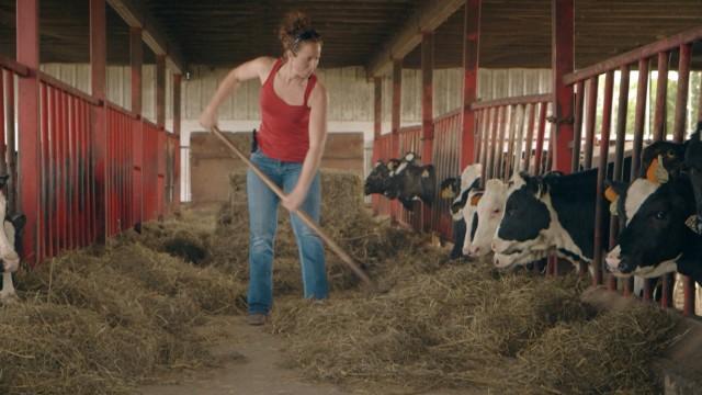 Présentation des 5 agriculteurs et début des rencontres