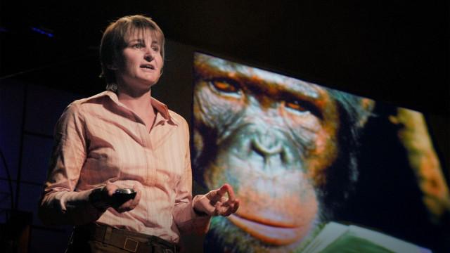 Digging for humanity's origins - Louise Leakey