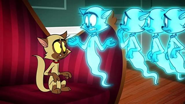Purr-gatory