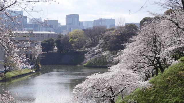 Keyword: Chidorigafuchi