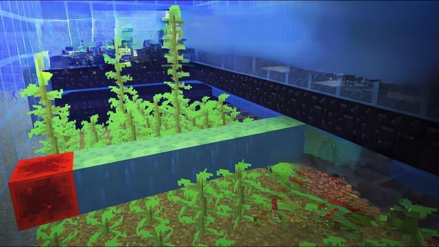 THE MOST CRAZY KELP FARM