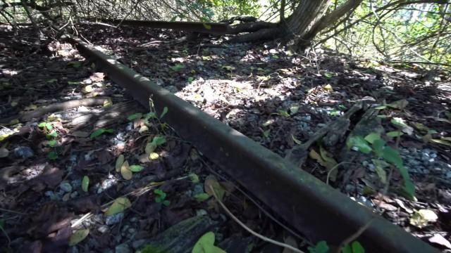 Disney’s Fort Wilderness Railroad