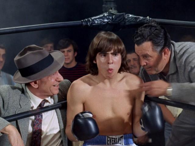 The Monkees in the Ring