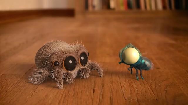 Jumping Spider