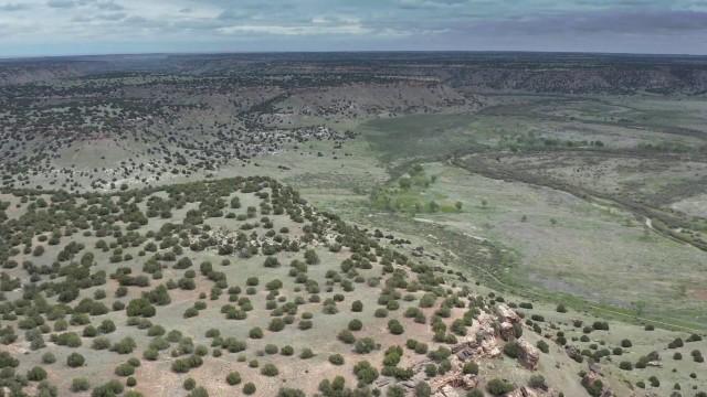 Grasslands