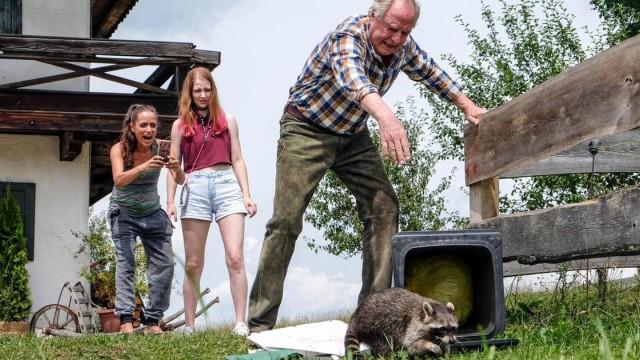 Die Waschbären sind los