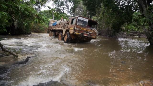 Congo, Jungle Messengers