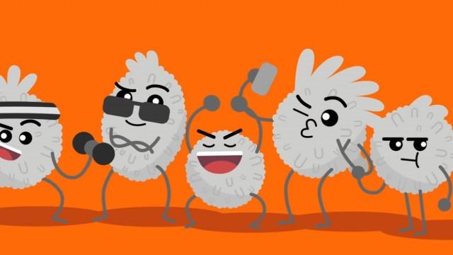 Emma Bryce: How does the immune system work?