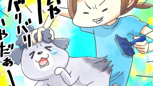Brushing