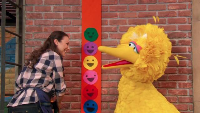 Measuring Big Bird