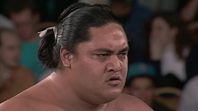 The Best of Yokozuna