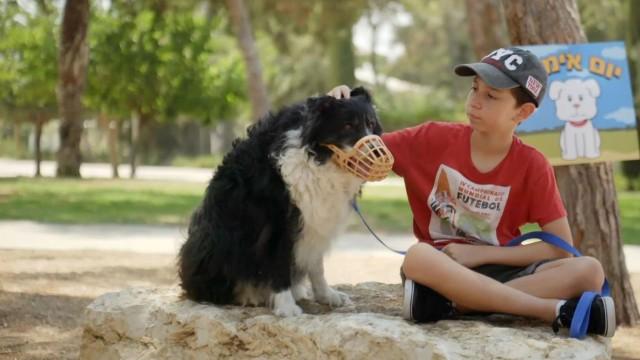 to Adopt Ben-G