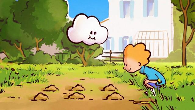 Vegetable Patch in My Garden