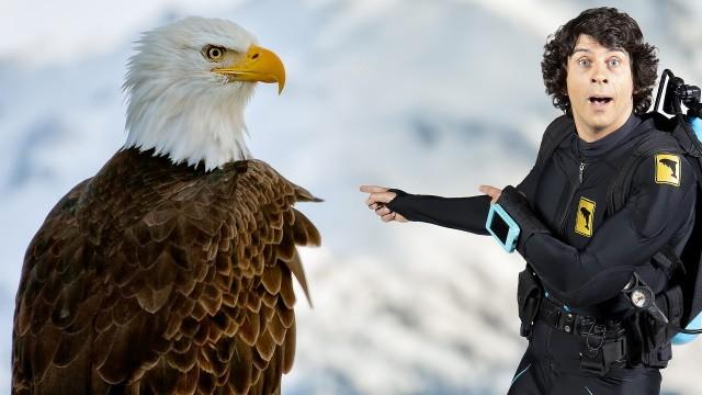 Andy and the Bald Eagles