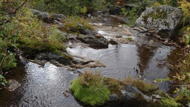 Idaho's Headwaters Special