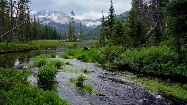 Idaho's Headwaters